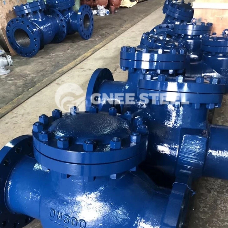 Spring-loaded Check Valves