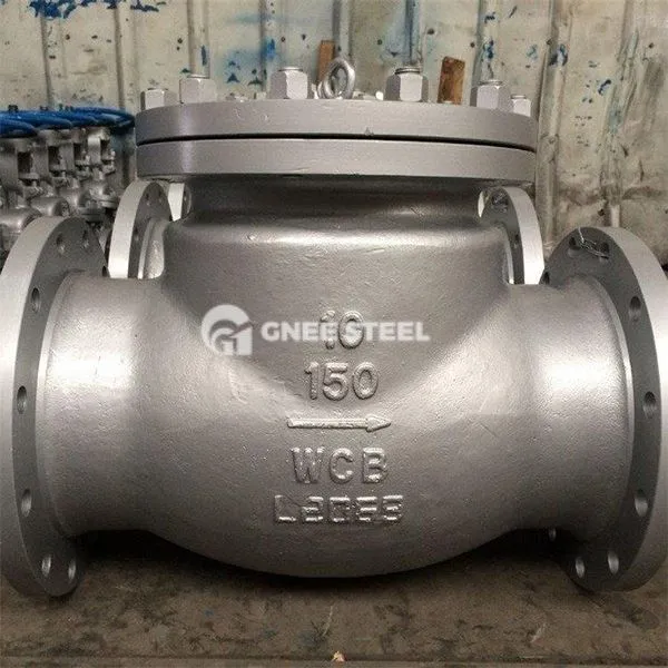 গ্যাস লাইন চেক ভালভ