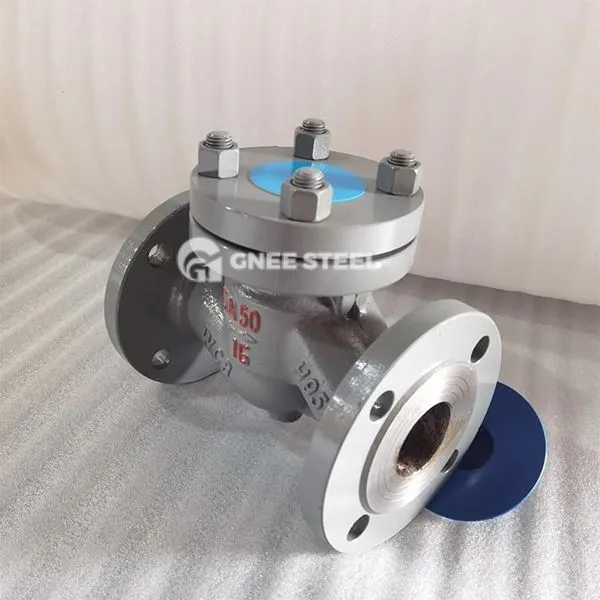 অনুভূমিক লিফট চেক ভালভ