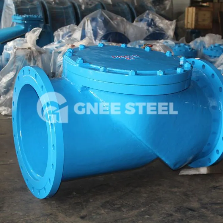 রাবার সীট ফ্ল্যাপ চেক ভালভ