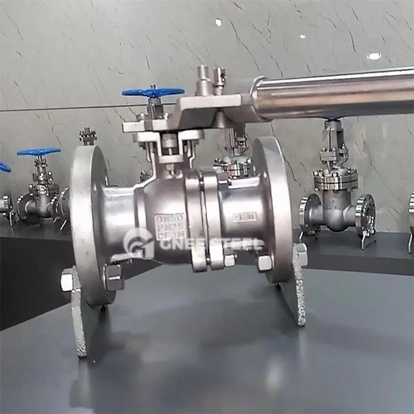 বসন্ত লোড বল ভালভ