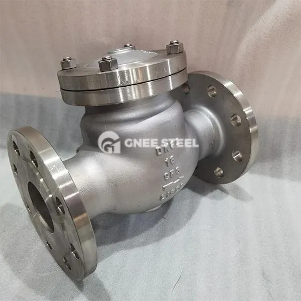 স্টেইনলেস স্টিল ক্রিওজেনিক চেক ভালভ