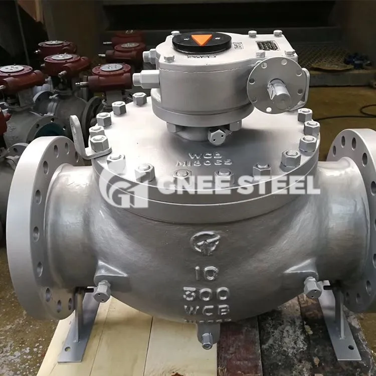 শীর্ষ এন্ট্রি বল ভালভ